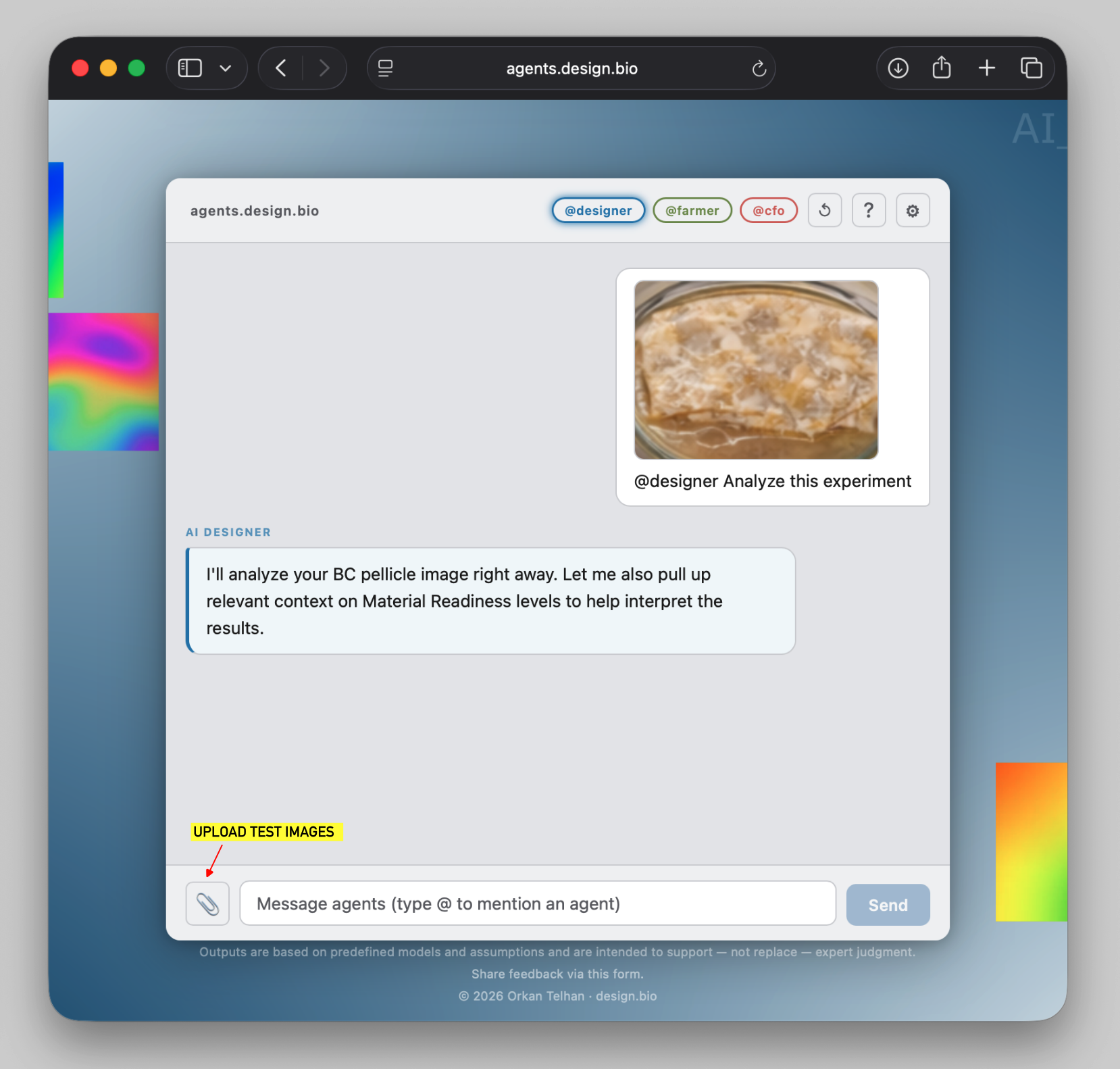 @designer analyzing a BC pellicle image